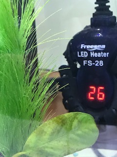 FREESEA 50W Mini Aquarium Fish Tank Heater